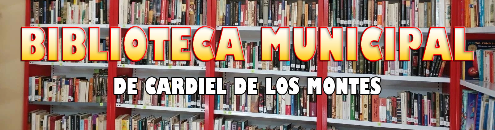 ¡Sumérgete en la magia de la lectura en Navidad!