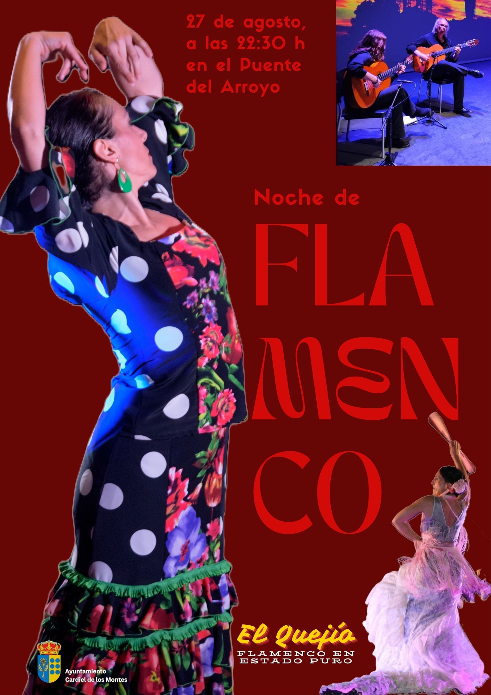 SC24 Noche de Flamenco