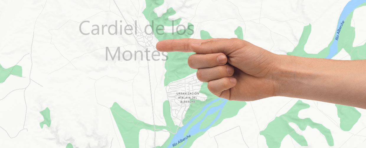 Localización